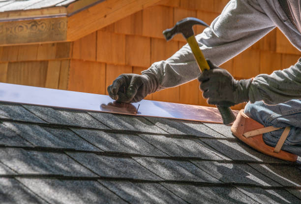 Best Solar Panel Roofing Installation  in Priceville, AL