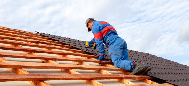 Best Roof Moss and Algae Removal  in Priceville, AL