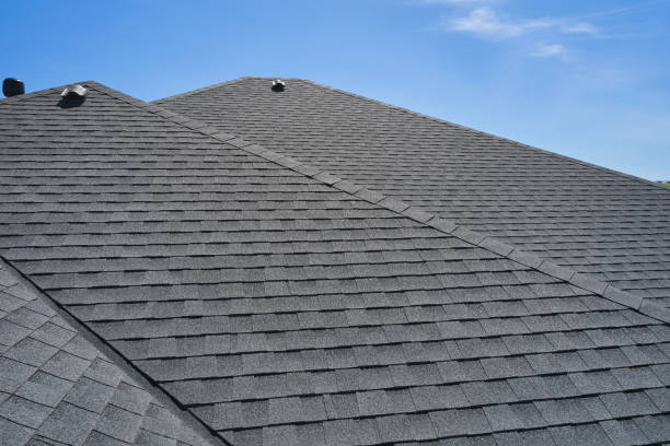 Best Sheet Metal Roofing  in Priceville, AL